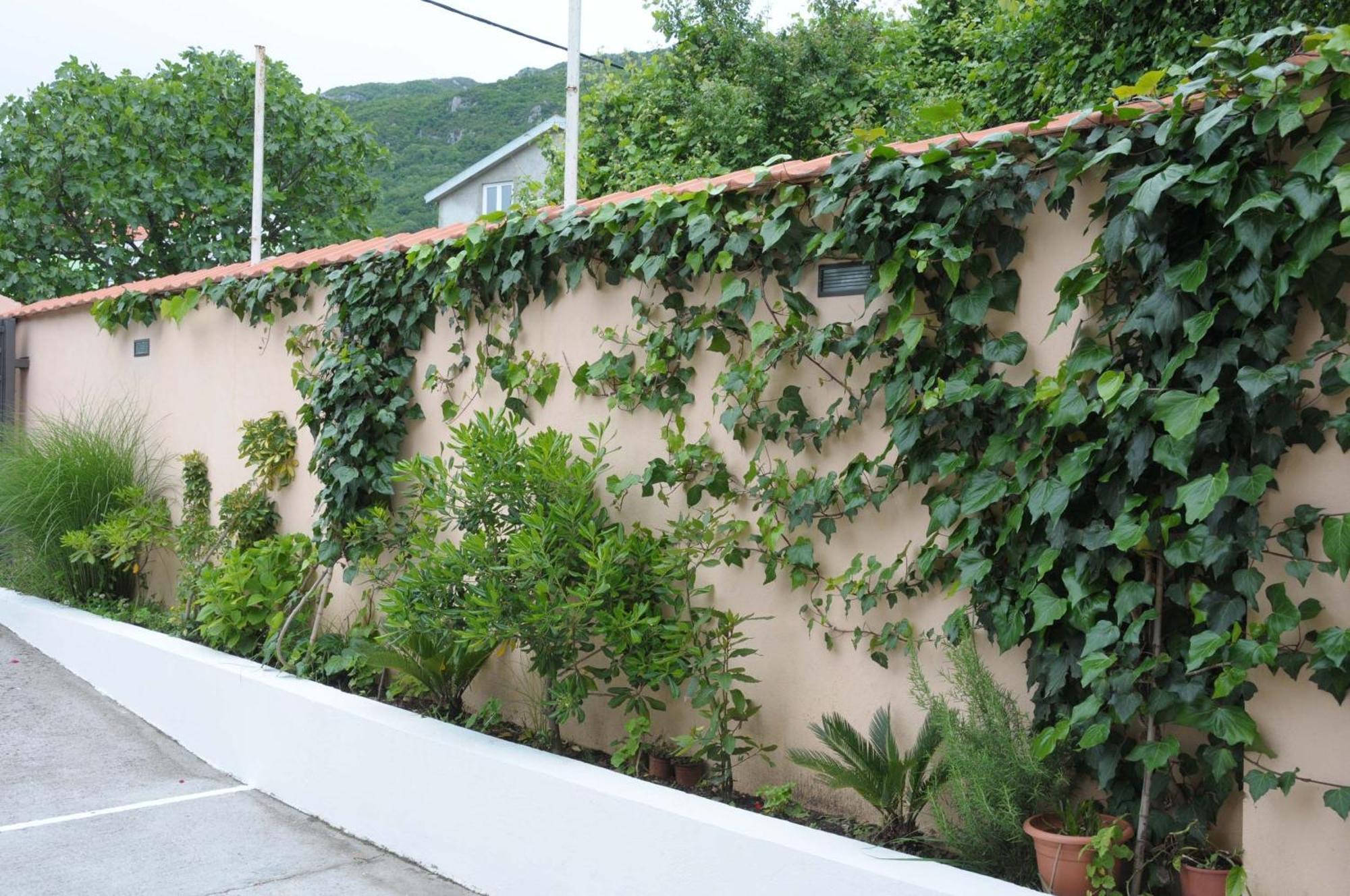 Apartments Royal Μπούντβα Εξωτερικό φωτογραφία